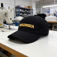 Casquette de baseball 6 panneaux avec logo 3D Wins Flying, cadeau promotionnel de haute qualité, casquette de sport d'équipe, broderie personnalisée réglable