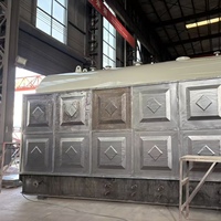 Chaudière à charbon de type horizontal DZH pour usine de transformation alimentaire