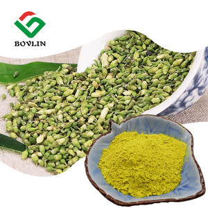 Rifornimento della fabbrica naturale estratto di Sophora Japonica quercetina polvere di quercetina liposomiale in polvere - Product Image 1