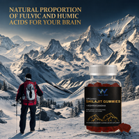 Gummies de Shilajit pour adultes, saveur baies, matière première himalayenne, gummies nutritifs, fabricant en gros