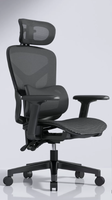 Chaise de bureau ergonomique en maille avec appui-tête réglable, base coulissante et dossier inclinable pour la maison, le bureau, la salle d'étude et la chambre d'enfant