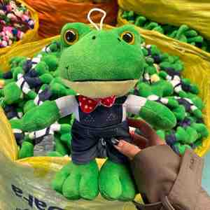 En gros, Jouets en peluche de couple de grenouilles, Grenouille Gu Gua la solitaire, célèbre sur Internet, de la série Mr Long-legged, Jouets en peluche d'animaux - Product Image 6