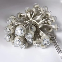 Mini Módulo LED RGB Pixel, Luces Puntuales de 12V 20mm IP68 PC GS8208, Iluminación para Fachadas de Edificios y Paisajes Exteriores con Accesorios de Puntos