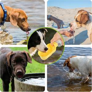 Botella de agua para perros, amarilla, portátil, a prueba de fugas, con tazón para mascotas de viaje - Product Image 6