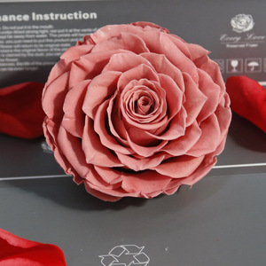 Eterna rosa 9 - 10 cm grande immortale lunga vita fiore rosa rosas eterno conservato rosa per regalo fai da te san valentino matrimonio - Product Image 4