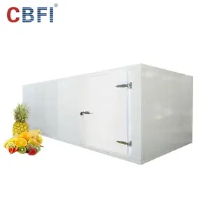 Cold storage room manufacturers and freezer storage