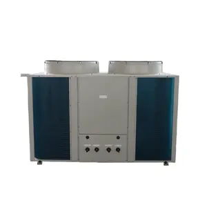 LRF210 Ceiling type water cooling purification workshop Direct expansion constant temperature and humidity air handling unit