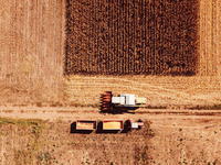Moissonneuse-batteuse pour riz, machine de récolte combinée, moissonneuse de haricots