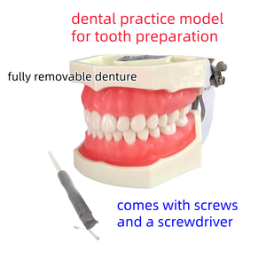 Modello di pratica di preparazione dentale staccabile con denti di pratica di retrazione gengivale, stampo in gomma morbida, con viti - Product Image 2