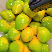 Jouet anti-stress souple en PVC en forme de mangue, changeant de couleur, à remontée lente, pour les acheteurs en gros