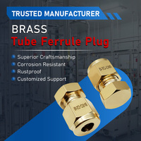 Bouchon de tube en laiton à double ferrule, embout obturateur pour tube de 1/4 po, remplacement pour raccords de pipeline de chromatographie en phase gazeuse de laboratoire Swagelok