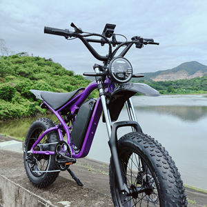 Vélo de montagne à gros pneus pour adulte, moteur arrière 1000W 48V, pneus de 20 pouces, vélo électrique à <span class=keywords><strong>2</strong></span> roues, entrepôt européen, suspension intégrale - Product Image 1