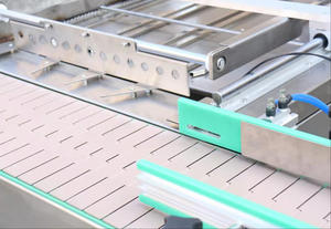 Continuous Semi-Automatic Electric Tray Sealer Machine Philippine Heavy Duty <b>Vacuum</b> Sealer <b>Bags</b> MAP Packaging Machine Chemical - Product Image 4