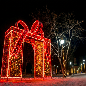 Luces Decorativas LED 3D IP65 en Caja de Metal para Interiores/Exteriores, Navidad, Jardín, Festivales y Decoración Nocturna Festiva - Product Image 1