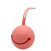 Boîte de rangement pour sucettes en silicone de qualité alimentaire, anti-poussière, portable, écologique, conteneur pour sucettes pour bébé
