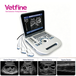Sistema <span class=keywords><strong>de</strong></span> Ultrasonido Veterinario, Transductor Veterinario, Escáner <span class=keywords><strong>de</strong></span> Ultrasonido - Product Image 1