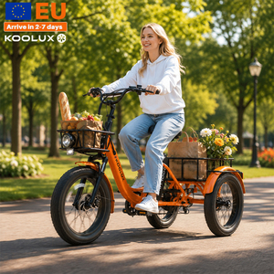 Bicicleta Eléctrica de Carga KOOLUX X13 500W, Stock en Almacén de la UE, Neumático Grueso de 20 Pulgadas, 48V 14.5Ah, Autonomía de 60-80KM, Entrega de Comida, Bicicleta Familiar, Velo Cargo Electrique - Product Image 2