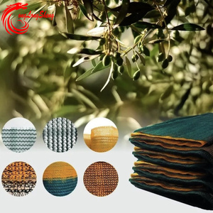 परिपक्व मौसम खेतों में प्रकाश जैतून के लिए कुशल कटाई और चयन - Product Image 5