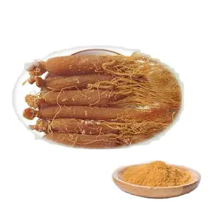 Korean Ginseng Red Ginseng Root Extract Powder with 10~80% Ginsenosides, 4:1 to 20:1