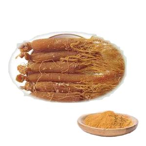 Polvere di estratto di radice di Ginseng rosso Ginseng coreano con ginsenosidi da 10 ~ 80%, da 4:1 a 20:1 - Product Image 1