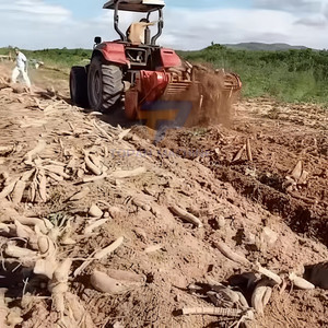 Récolteuse de manioc à deux rangs montée sur tracteur, récolteuse de pommes de terre, d'arachides et d'oignons, équipement agricole, vente chaude - Product Image 6