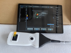 Échographe vétérinaire DMSU25 à prix abordable avec sonde sans fil neuve N&B pour la détection précoce de la gestation chez les bovins - Product Image 4