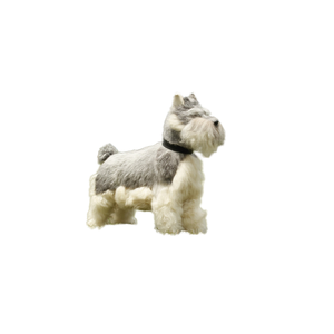 Schnauzer <span class=keywords><strong>miniature</strong></span> de chien mignon de taille réelle pour le cadeau et les accessoires de voiture décor à la maison décoratif intérieur - Product Image 1