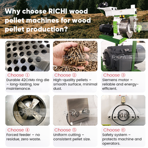 Machine à granulés de bois RICHI <span class=keywords><strong>Bio</strong></span> Mass - Machine à granulés de bois de palmier haute efficacité, production d'une tonne par heure - Product Image 4