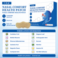 Patchs Nasaux Herbalisés en Gros pour le Soulagement des Maux de Nez, Certifiés ISO, 10 Patchs/Boîte, Durée de Vie de 2 Ans, pour Nez Bouché et Sécheresse Nasale