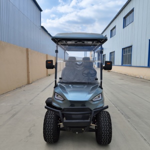 Carrito de Golf Gris de 6 Plazas, 48V 5KW, con Batería de Plomo-Ácido de Acero, en Venta - Product Image 3