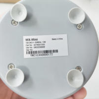 Agitateur de laboratoire MX-Mini à vitesse fixe 3000 tr/min, mélangeur oscillant, agitateur électrique à moteur CC sans balais, mélangeur vortex en fonte