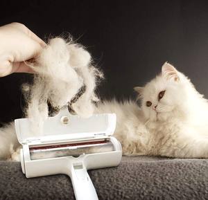 Rodillo Quitapelusas 2 en 1 y Cepillo de Limpieza para Perros, Elimina Pelos de Muebles, Autolimpiante - Product Image 6