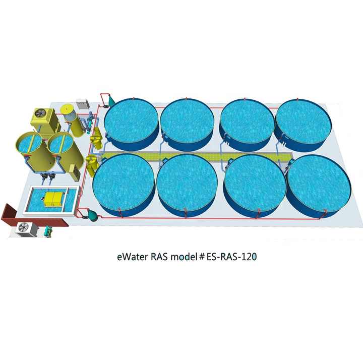 RAS Intensive Recirculating Aquaculture System for Fish Farming