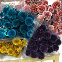 Groothandel in geconserveerde Echinops Bannatcus, echte natuurlijke blauwe distel voor thuis- en bruiloftdecoratie en bloemstukken