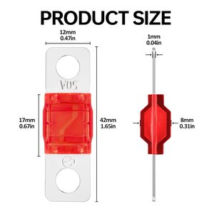 Fusible automobile à déclenchement lent certifié IEC, coloré, 12V 24V 32V 40A 60A 100A, plaqué or zinc, pour l'audio automobile, la navigation maritime, l'alimentation vidéo - Product Image 2
