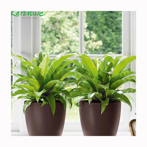 Macetas Decorativas de Jardín Estilo <span class=keywords><strong>Bali</strong></span> Doradas Pintadas, Macetas de Estilo <span class=keywords><strong>Japon</strong></span>és con Cilindro de Autorriego, Maceta - Product Image 1