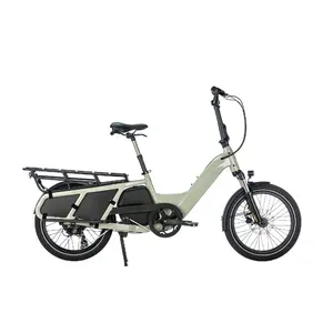 Fast Delivery 20 Inch 7 Speed Rear Hub Motor Electrica Two Wheels Electric Cargo Bike For Family