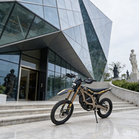 Meilleures Ventes : Moto Tout-Terrain Surron en Stock, Modèle 2026 Surron Light Bee X, Vélo Électrique Léger Surron E-Bike pour Route et Cross