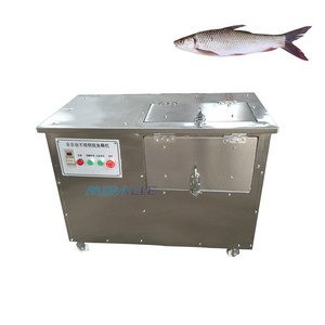 เครื่องขูดเกล็ดปลาคุณภาพสูง อุปกรณ์ขจัดเกล็ดสำหรับงานหนัก สำหรับการแปรรูปอาหารทะเลและผลิตภัณฑ์<span class=keywords><strong>ปลา</strong></span>เพิ่มคุณค่า - Product Image 4