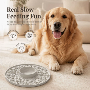Bol de nourrissage lent en silicone pour animaux de compagnie, tapis antidérapant anti-étouffement, plat à bords arrondis pour chiens et chats, utilisation intérieure - Product Image 2
