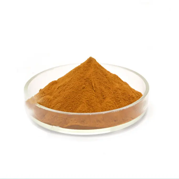 Fabriekslevering Dong Quai Extract Natuurlijke Dong Quai Extract Poeder