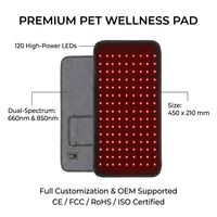 Tapis de luminothérapie rouge OEM pour animaux de compagnie avec soulagement de la douleur pour le corps et les mains 660nm/850nm, usage domestique et commercial