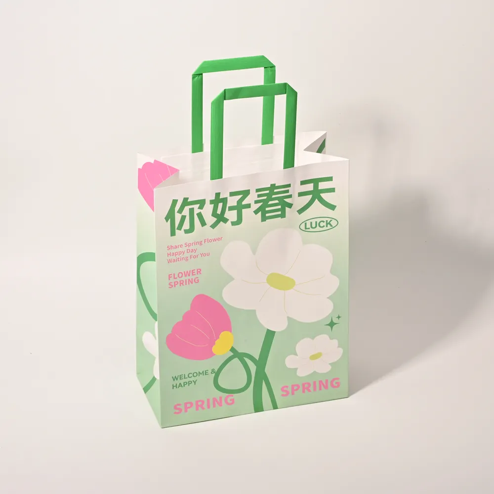 Sacchetto di carta personalizzato biodegradabile promozionale sacchetti di carta con manico verde sacchetto di carta