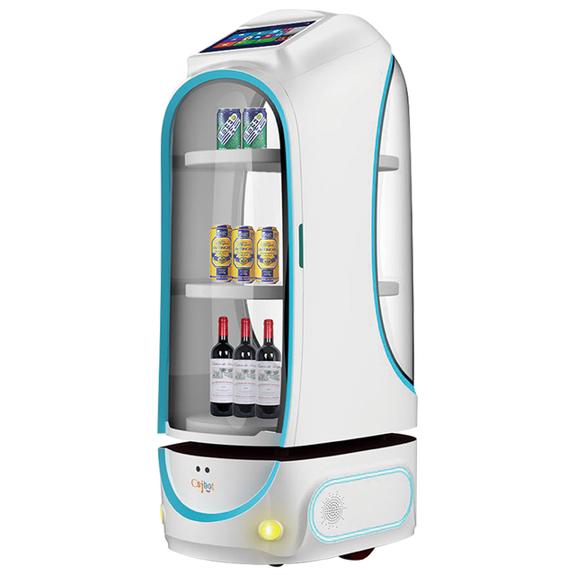 Hot Sale Good Quality Delivery Robot Supplier Robot Mannequin and Forex Robot Programable Smart Educational