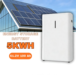 5kWh Low Voltage 51.2V Home <b>Energy</b> <b>Storage</b> <b>System</b> Wall-Mounted Household <b>System</b> - Product Image 6
