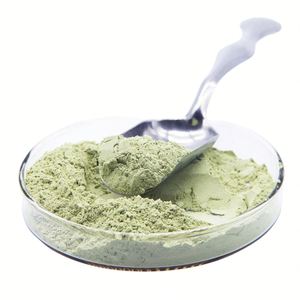 ผู้จัดจำหน่ายผง CAS นาโนทังสเตนไตรออกไซด์ (WO3) ชั้นนำ - Product Image 1