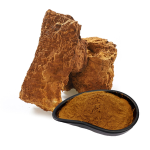 hochwertiges <span class=keywords><strong>Chaga</strong></span>-Pilzpulver aus <span class=keywords><strong>Chaga</strong></span>-Pilzen-Extrakt - Product Image 3