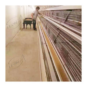 Gallinero con Batería grande <span class=keywords><strong>para</strong></span> 20 <span class=keywords><strong>gallinas</strong></span>, <span class=keywords><strong>precio</strong></span> de pila - Product Image 4
