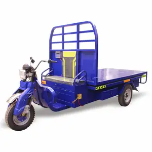 Tricycle électrique de Transport de fruits et légumes, plate-forme élévatrice et échelle électronique, prix