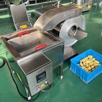 ANXU Automatische 380V 15KW Friteuse Warmtewisselaar voor Groenten, Fruit en Snoepverwerkingsmachine (Hoge capaciteit: 100-300 sets/jaar)